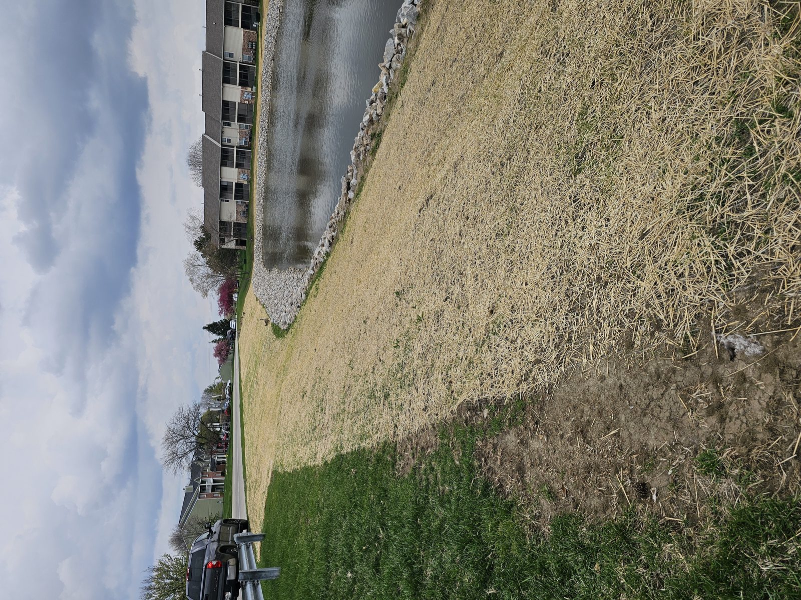 Completed riprap shoreline and seeded embankment