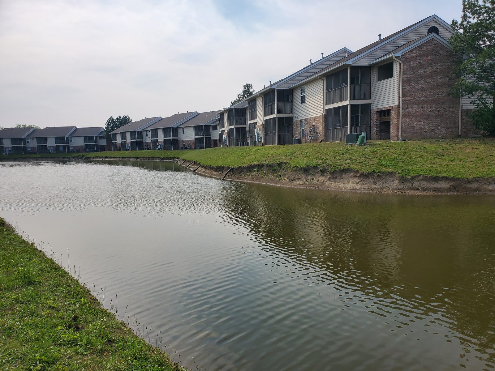 Pond shoreline condition documentation